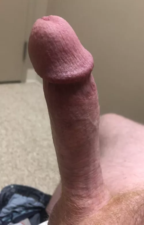 Take the plunge cucky by Intelligent_Tone233