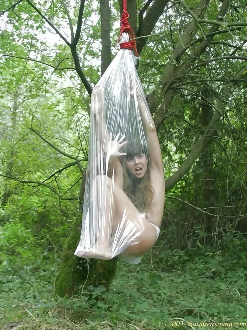 THAT is interesting by Eastsidekink