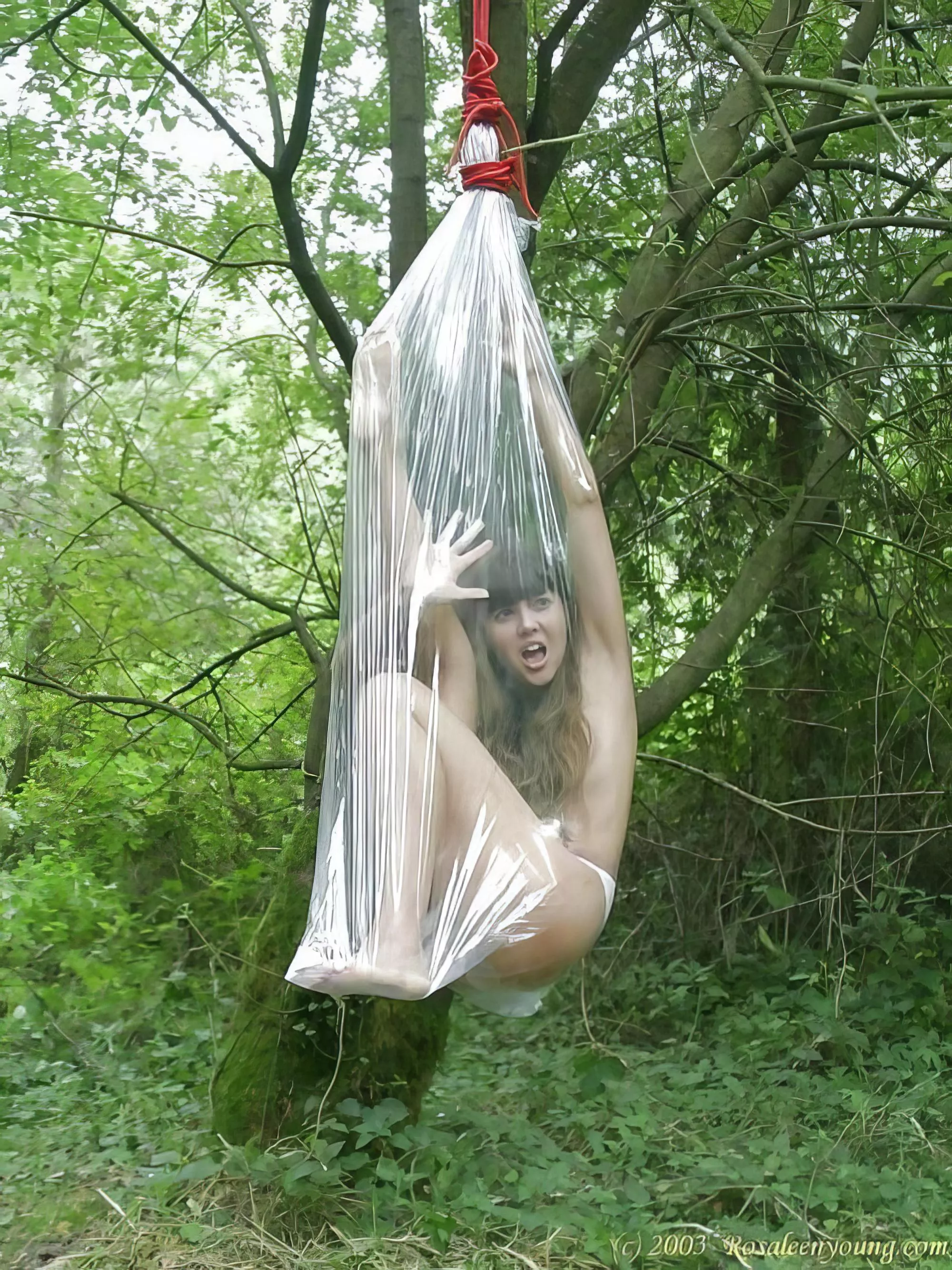 THAT is interesting posted by Eastsidekink