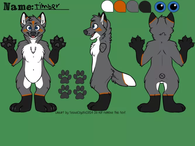 Timber the folf. by Titaniumwolf810