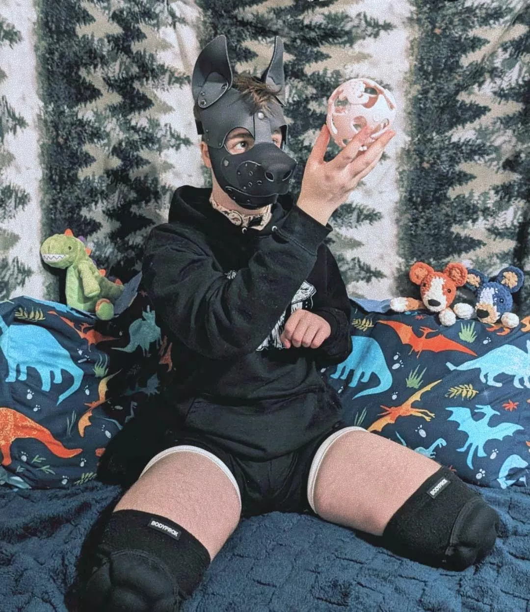To fetch or to not fetch 🐶🥎 posted by paddedpup_