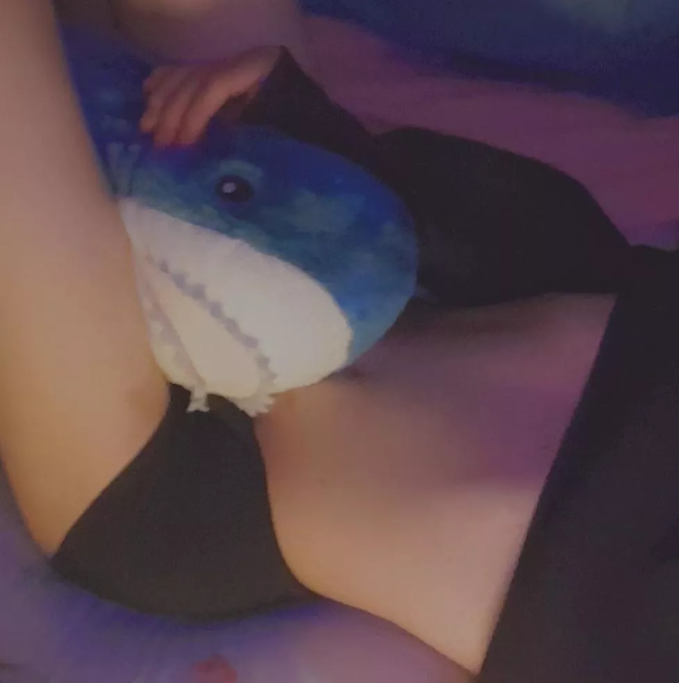 Vicious shark attack!!! :( posted by FemKuwu_