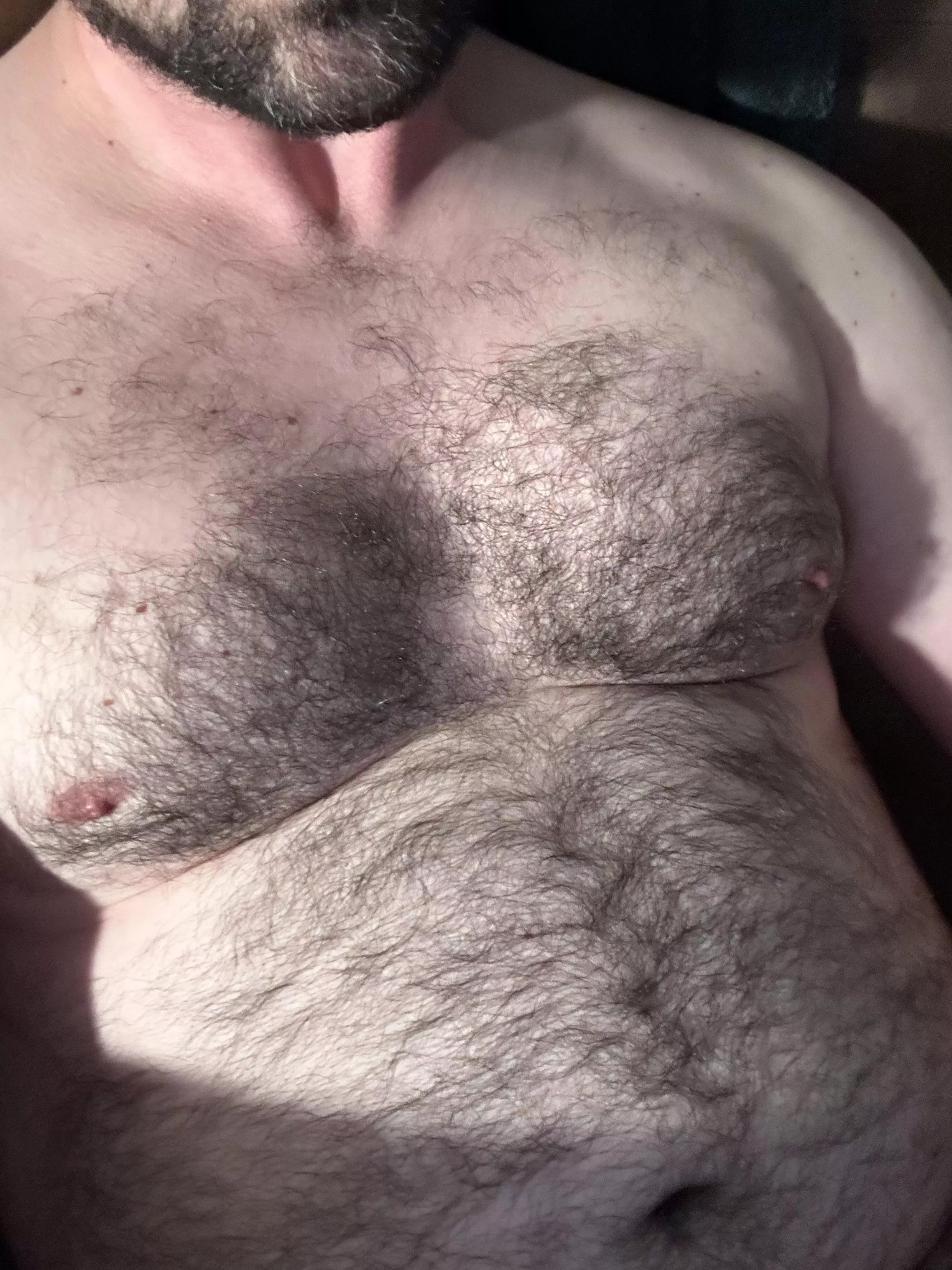 Who needs some thick fur tonight? posted by mountainfur38