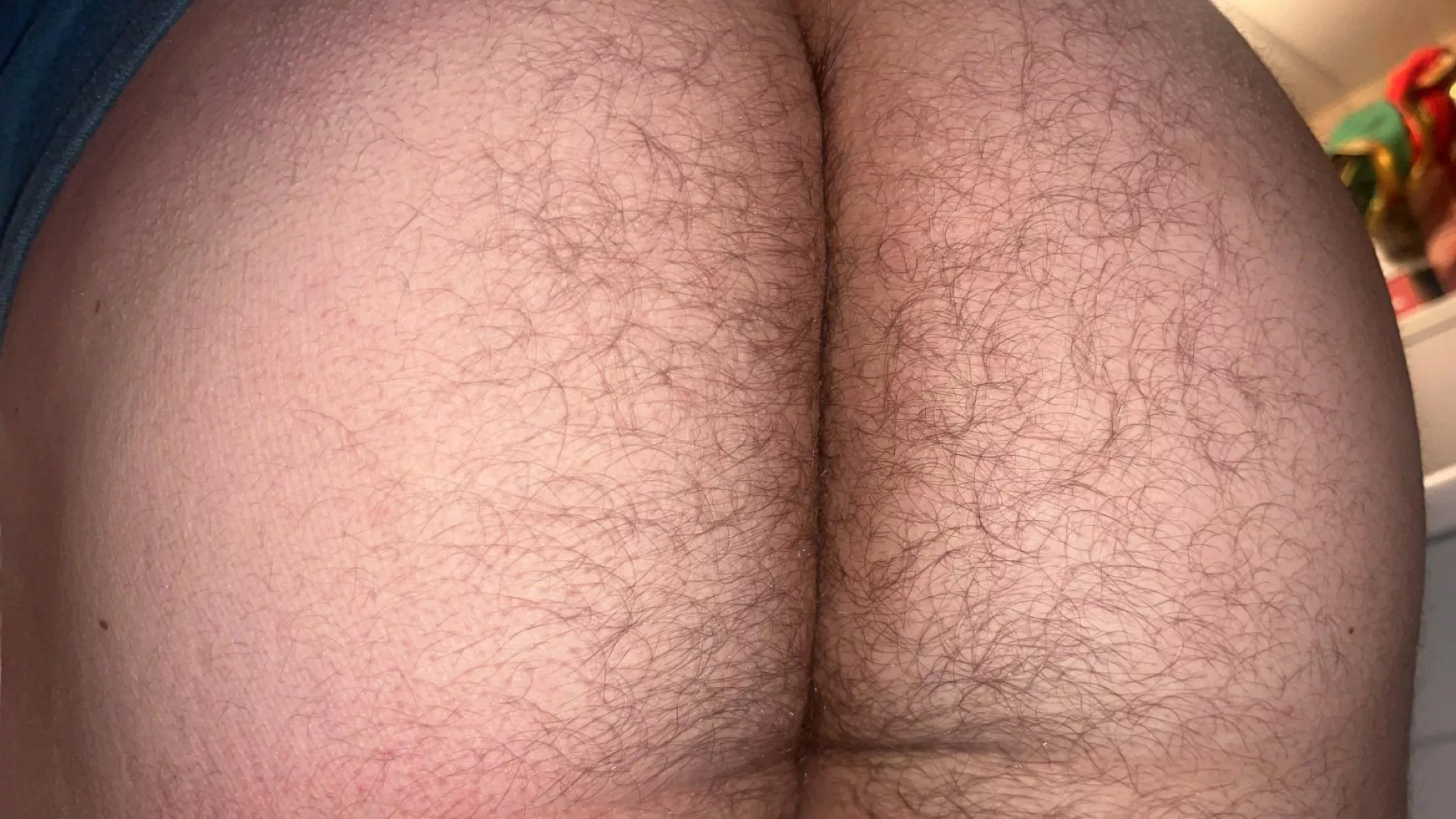 Your favorite hairy guy is back Reddit posted by Seriousboytoy