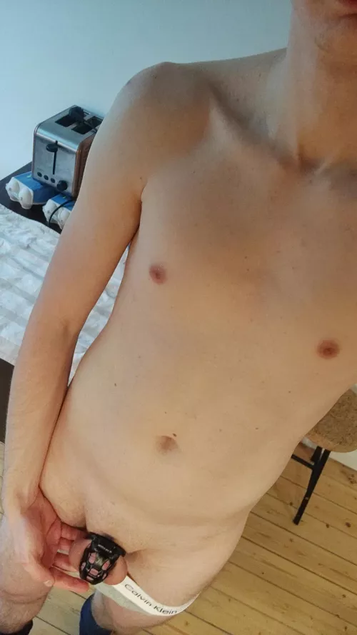 22 chastity twink looking for Twink dom by Sub-boy199