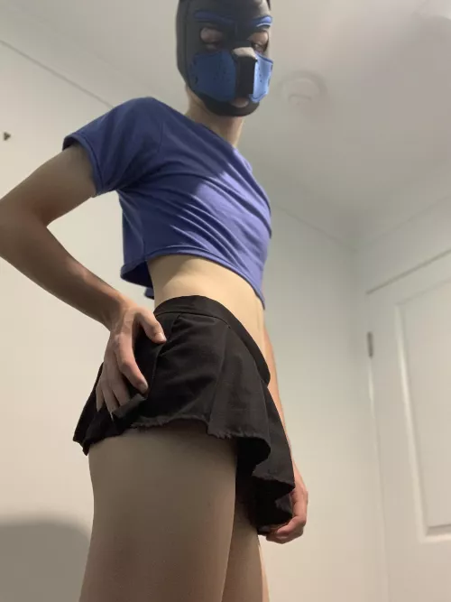 am i good pup? by SilentSpider69