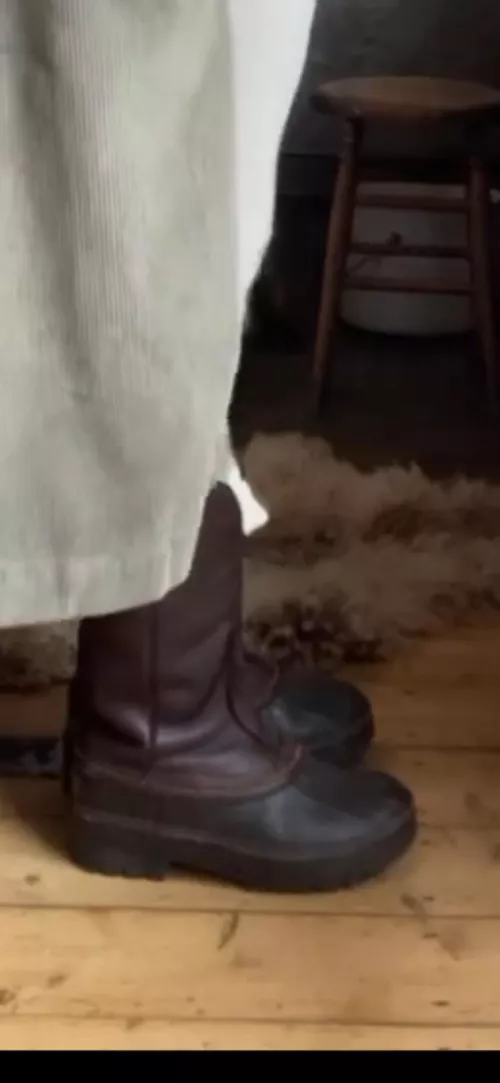 Can anyone ID these? by KallisteDia