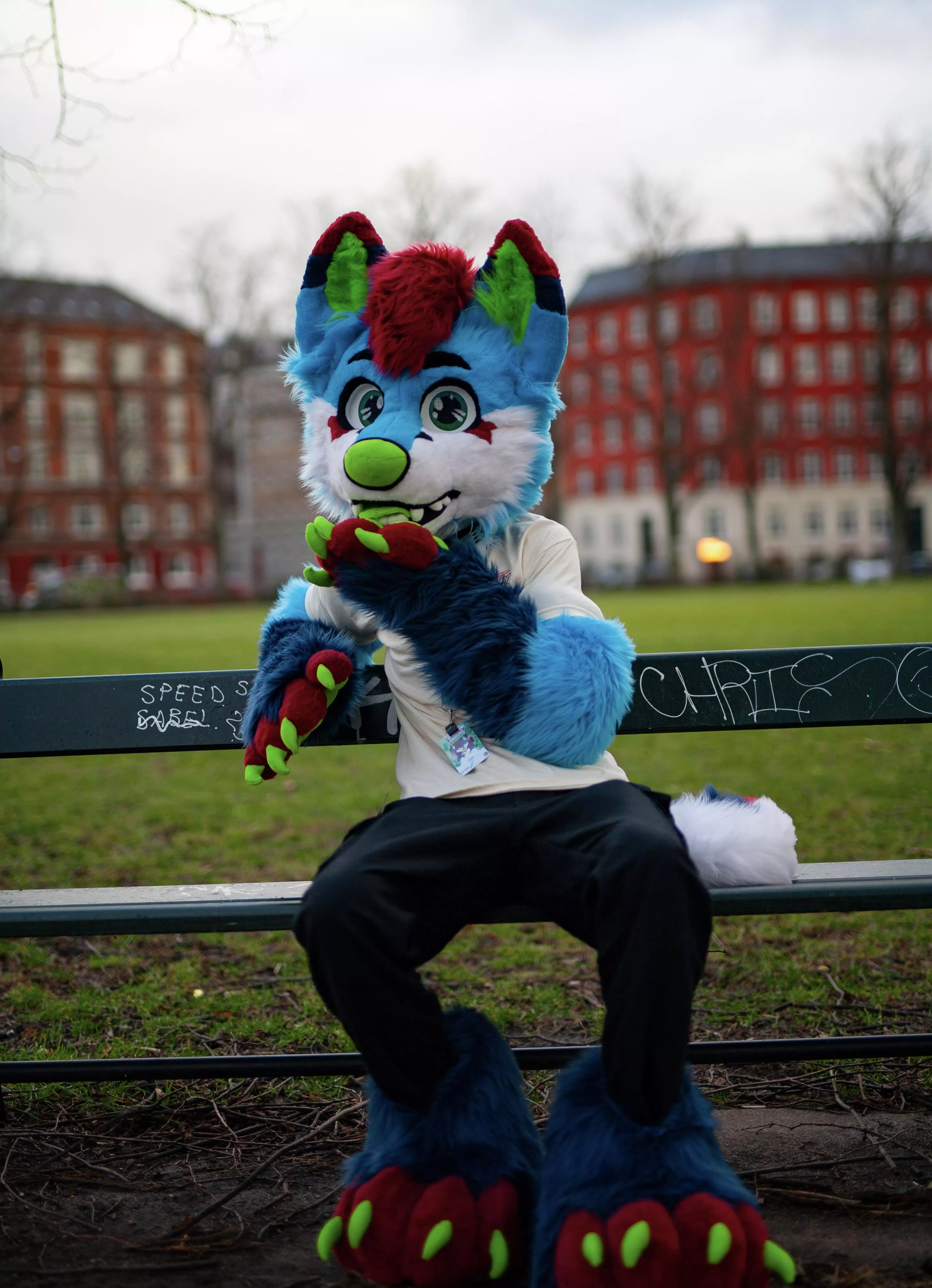 Come take a break :) posted by Davidooths