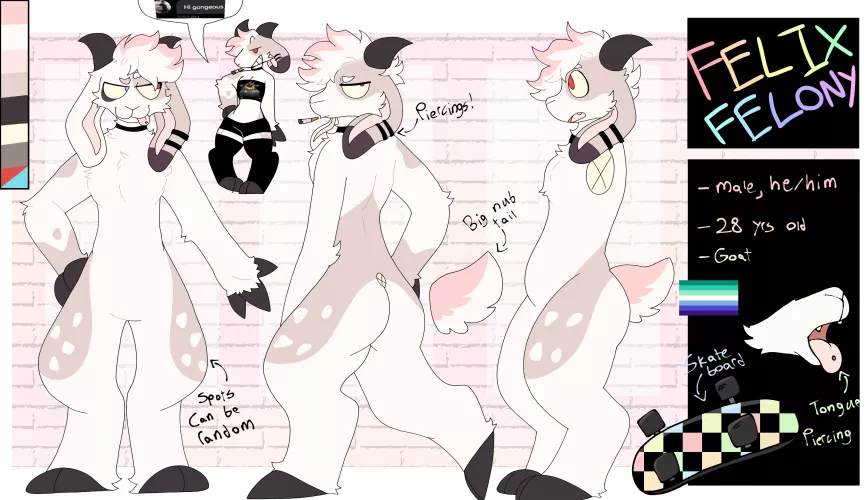felix ref sheet i made by felonygoat