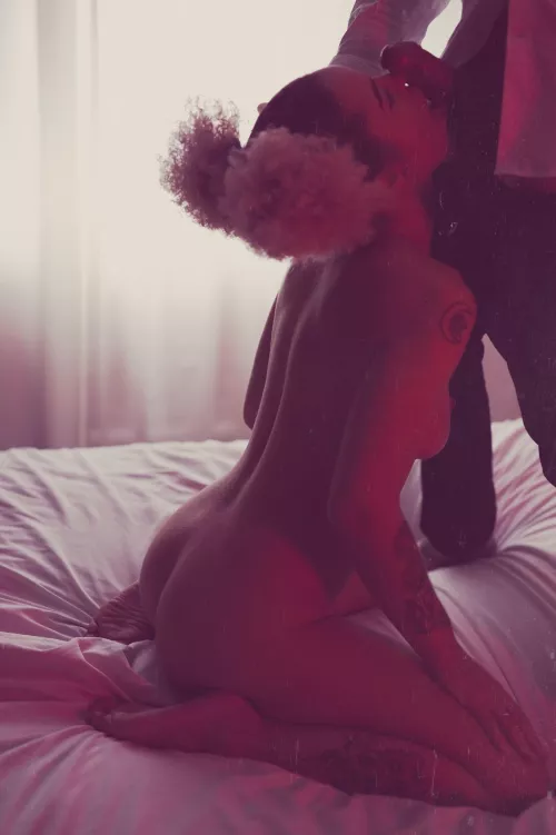 Getting ready for another round, are you? by Metro-Van-Flagger