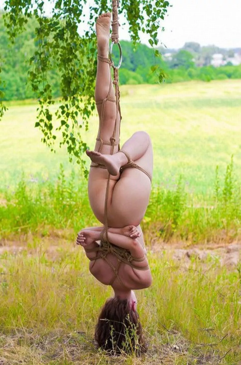 Hanging outside. posted by MonoGlover