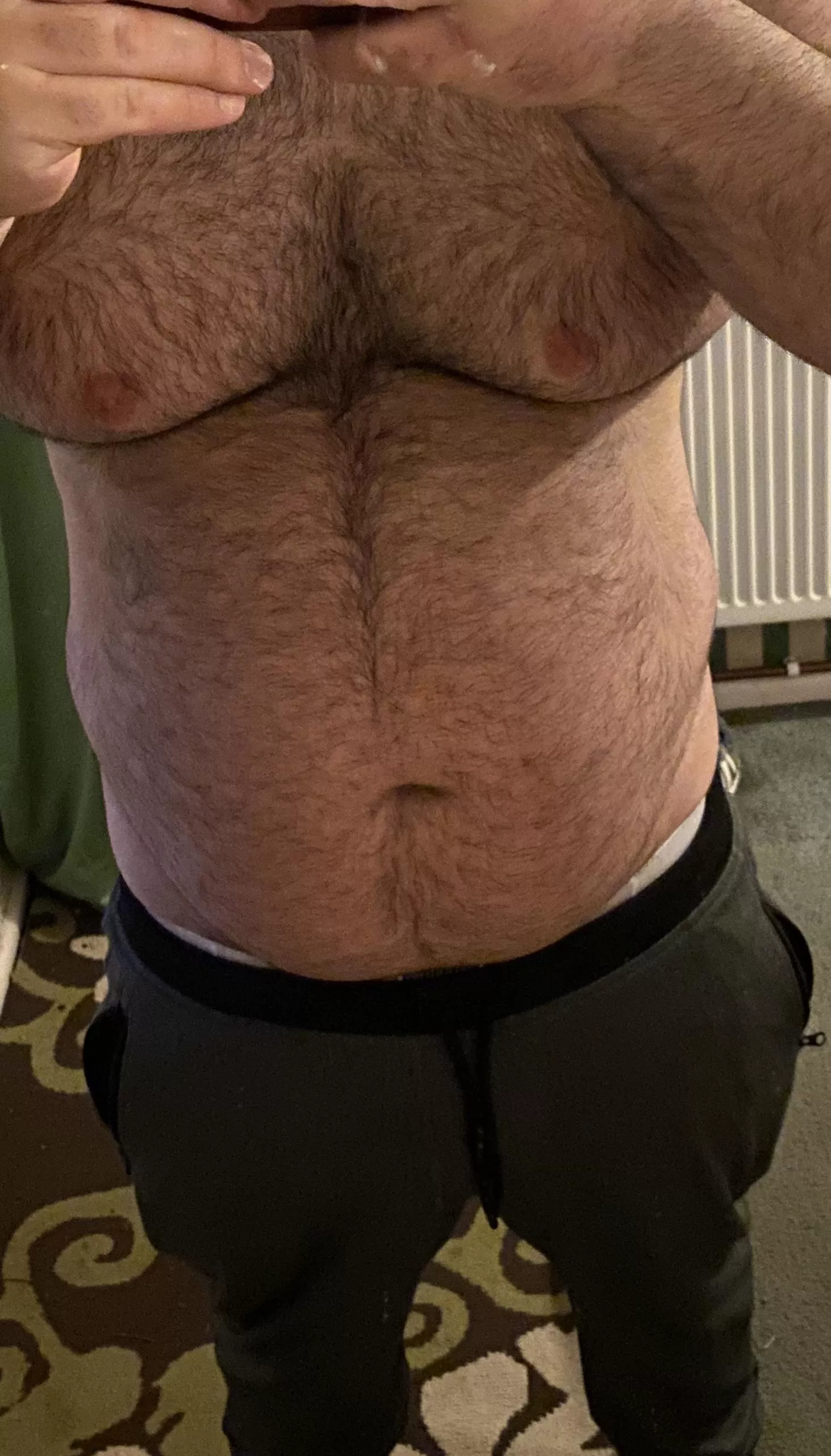 Hi fellow bears posted by Global-Biscotti1