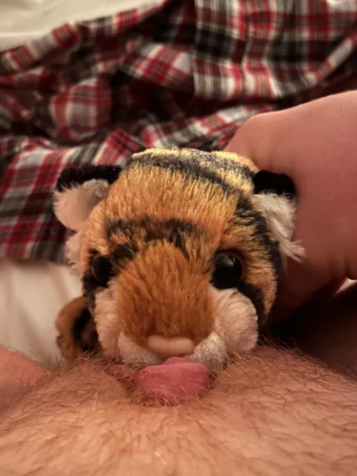 How is it? (Shaved shortly after 😅) by Express_Advantage_10