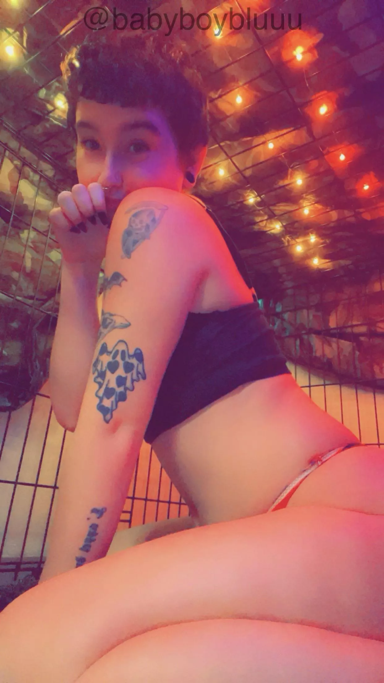 i have a cage now and my hood should be coming in soon!! so excited arf arf :3 posted by Overall_Quality_2445