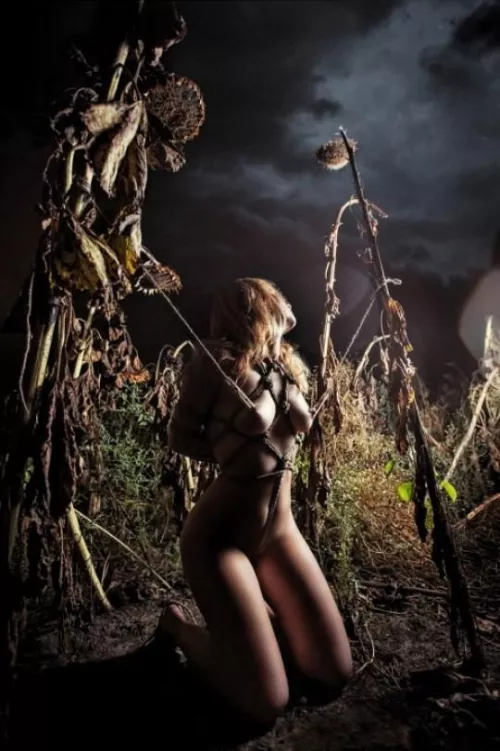 in the fields by Eastsidekink