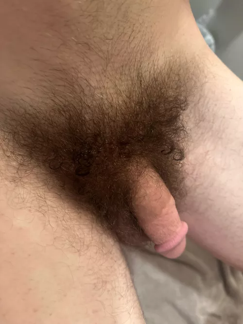 It wild by Disastrous-Daikon-74