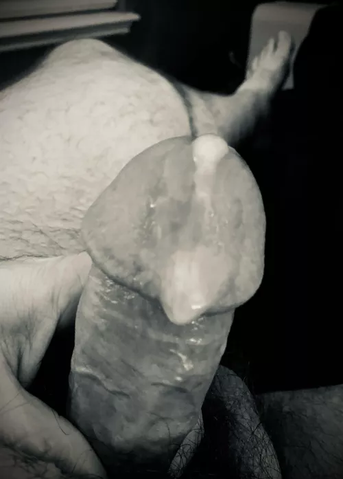 Load aftermath by ShowyHornDawg