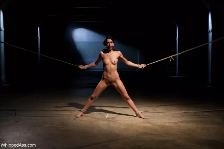 Lou Charmelle by tungsteneer_10