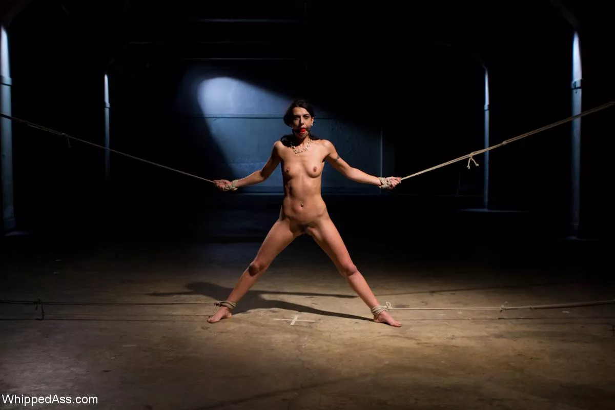 Lou Charmelle posted by tungsteneer_10