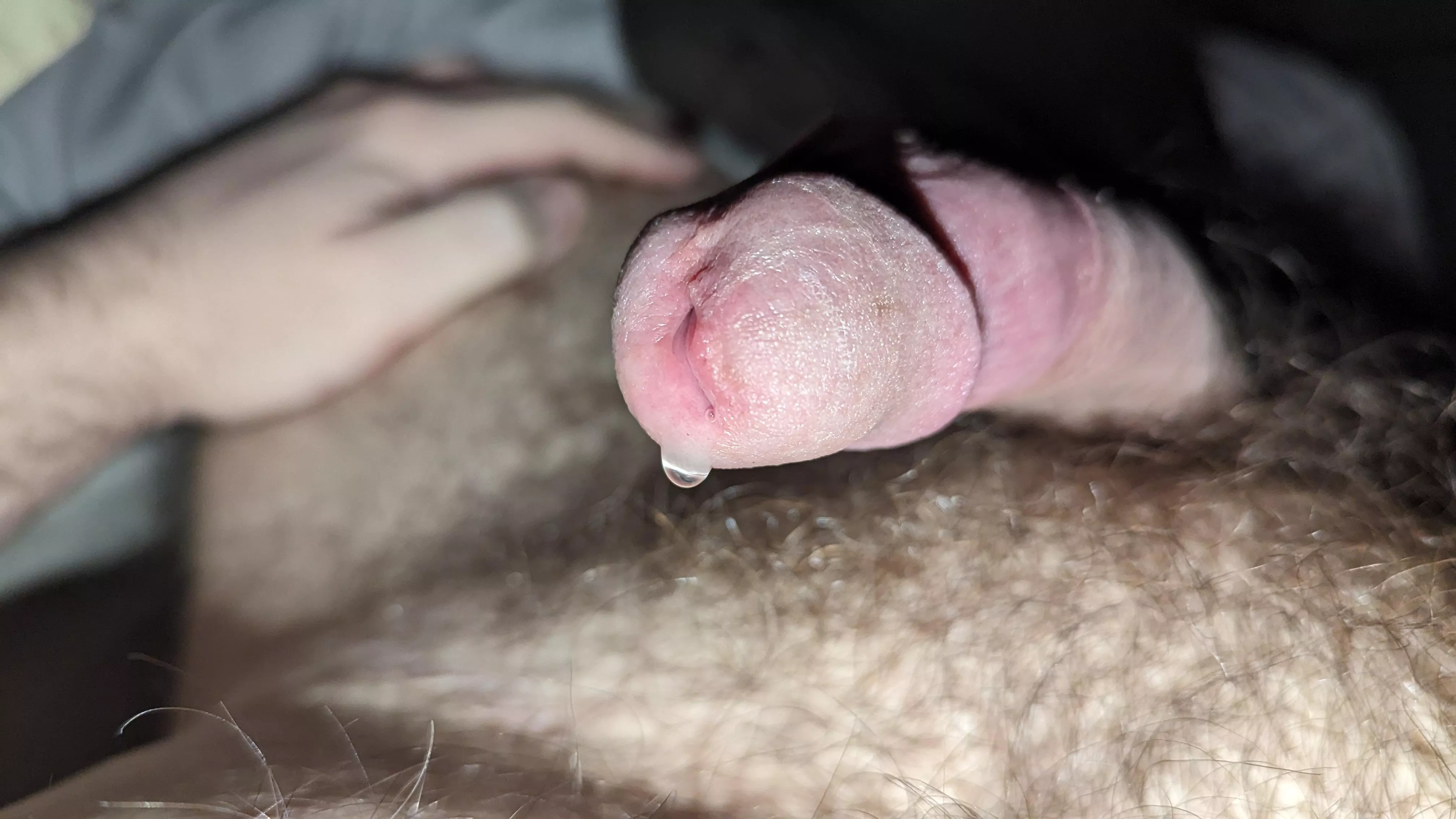 Morning drip posted by whoits1154