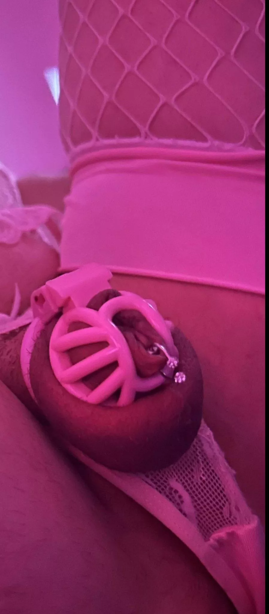 My tiny pierced pink clitty, will be going permanent with my new PA cage when it arrives! Excited!! Xx posted by Upset-Technician-352