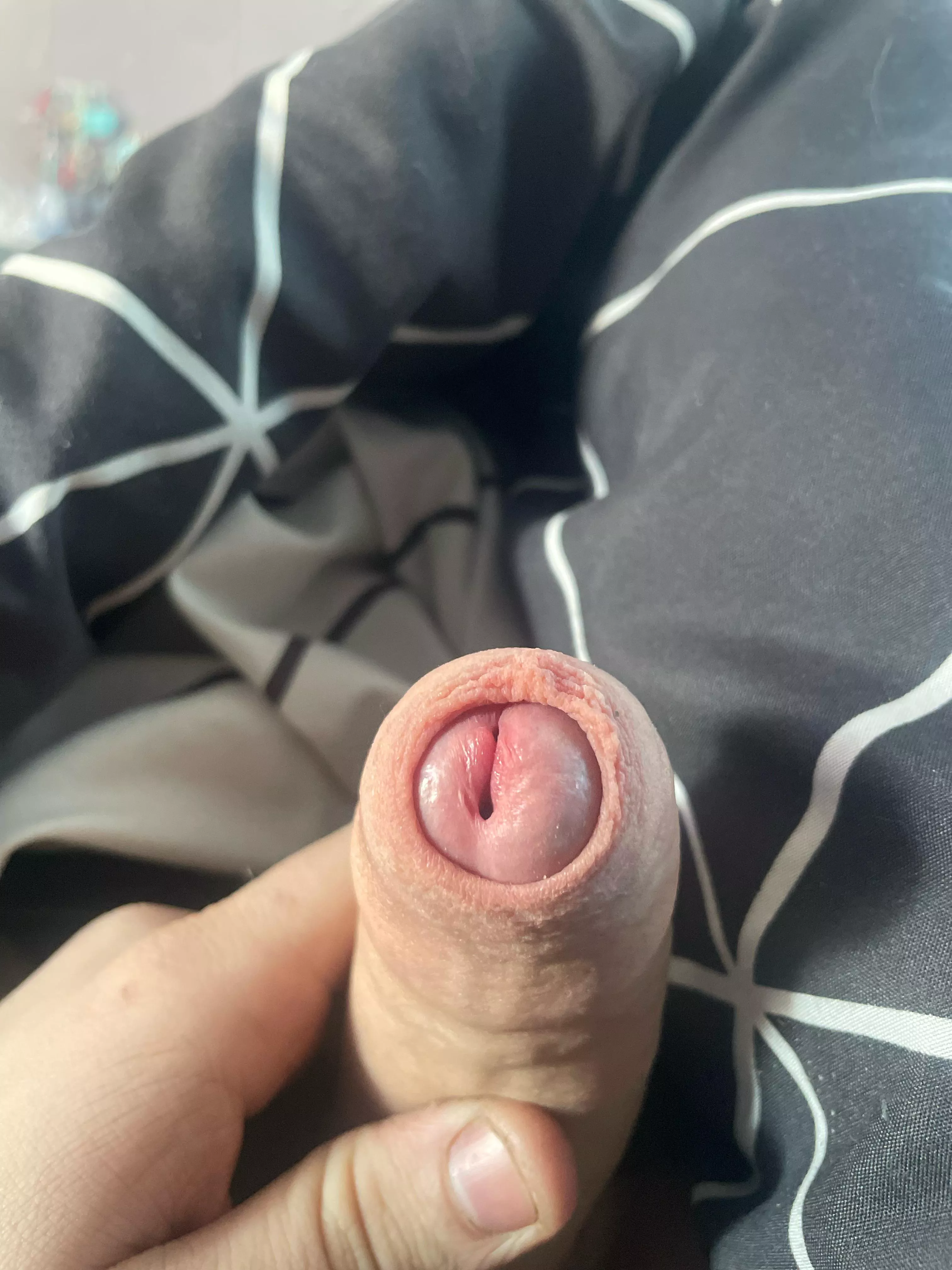 No title needed posted by Standard_Way_4063