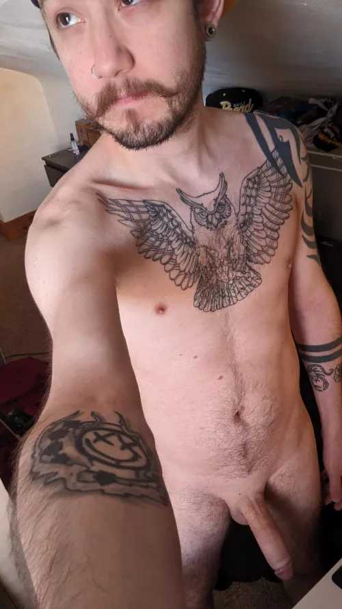 Now that life is calming back down I can get back to what matters most: naked shenanigans 😉 by ZDavidson37