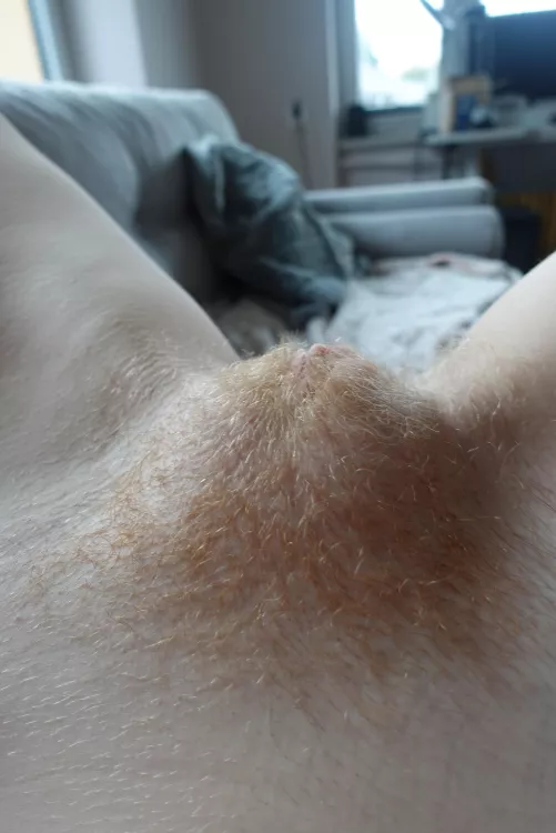 Perfection is in the hair 🥰 by RedWildcatx