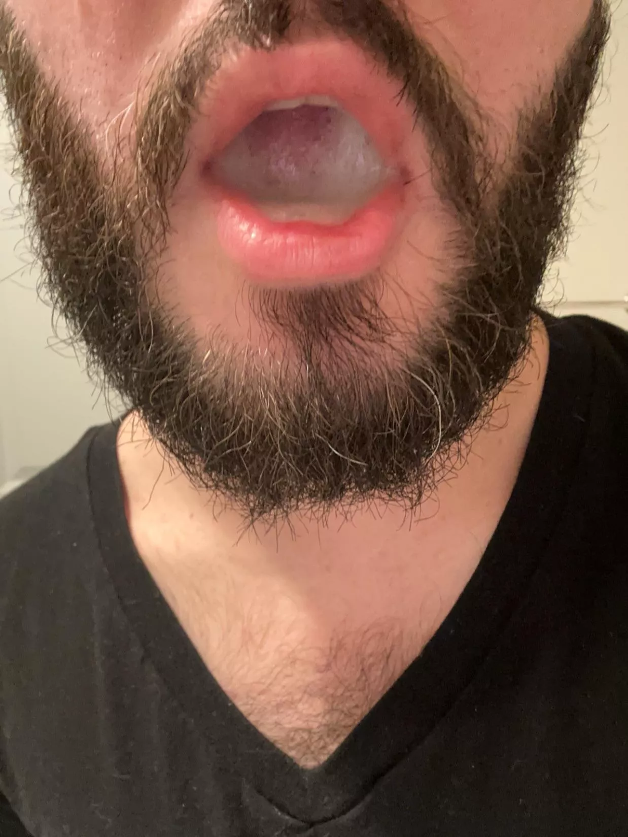 Preswallow 27 posted by Major-Swordfish2465