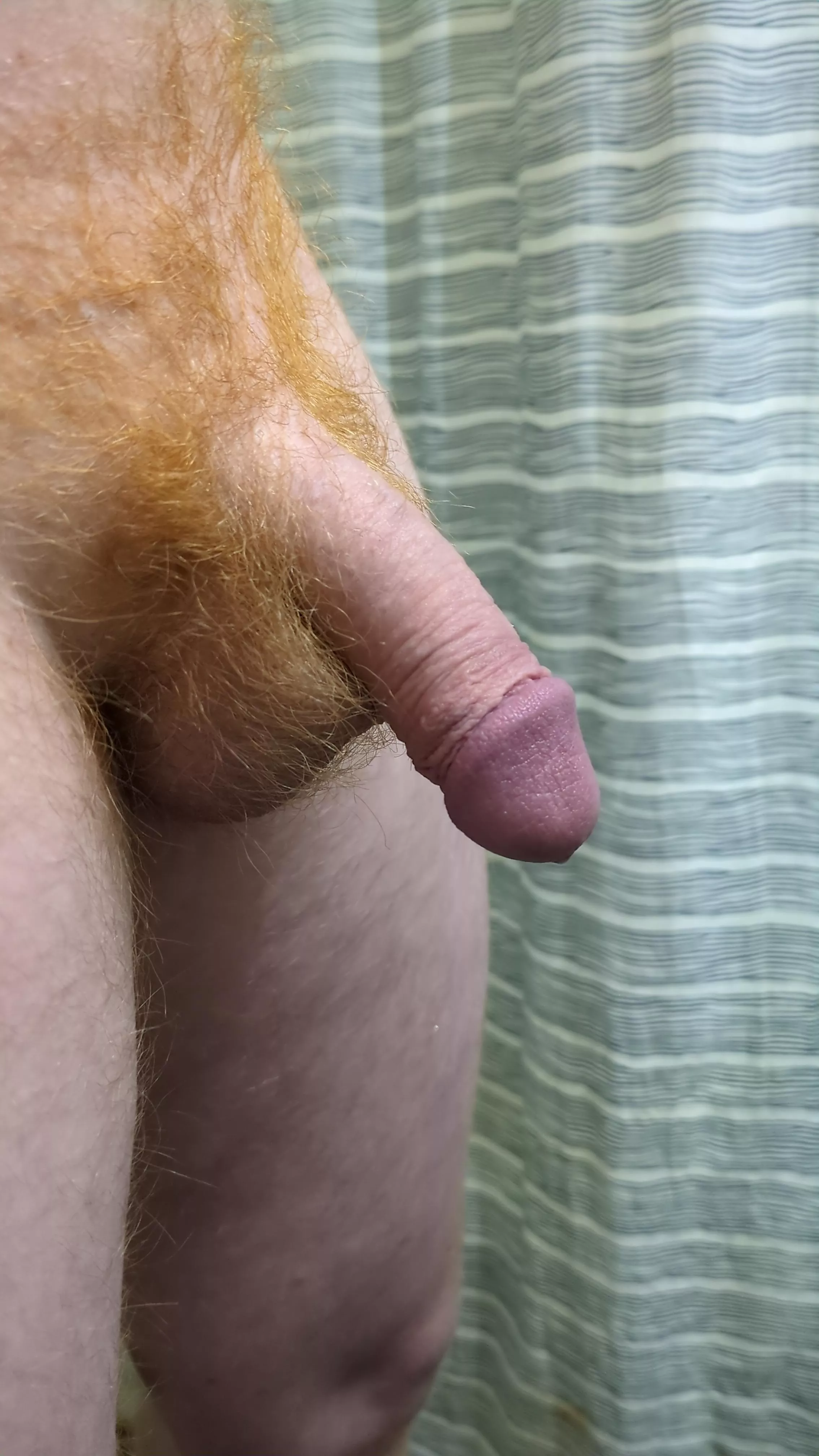 Purple tip posted by ffumderr