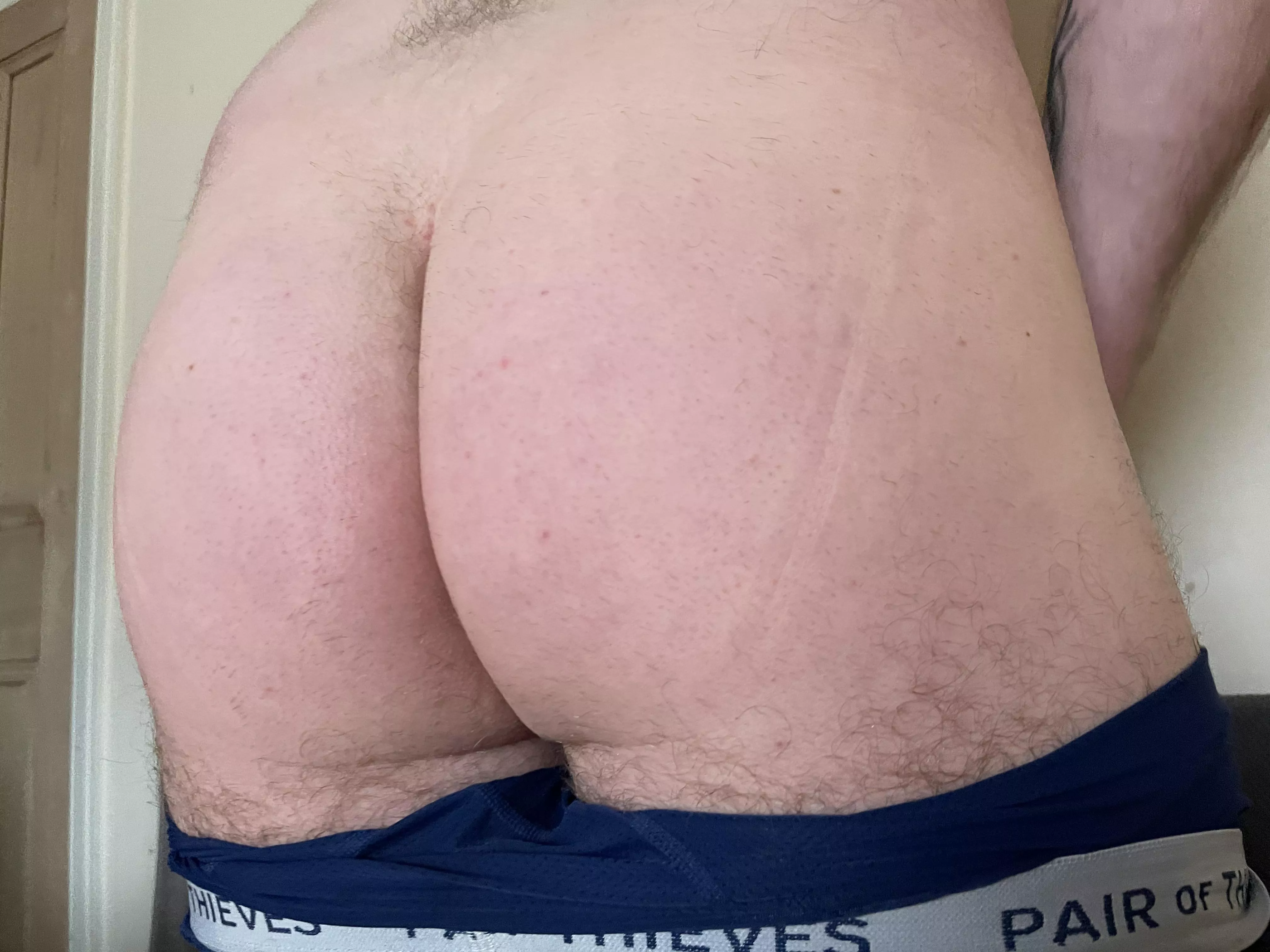 Should I keep it shaved or let it go back to being fuzzy? posted by Irish_Daddy_91