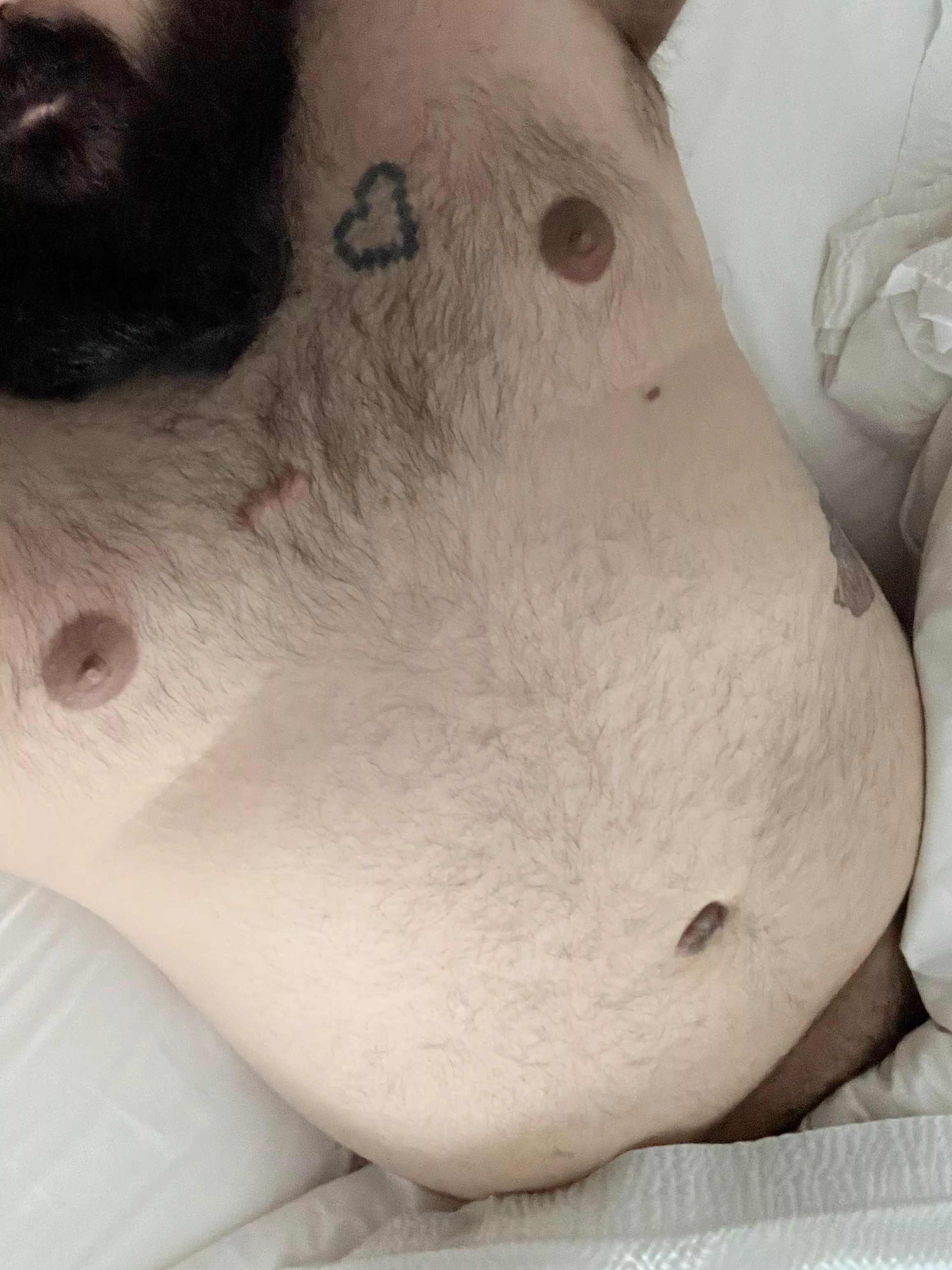 Sneak into my hotel room and hop on without saying a word. posted by DrinksWithGragas