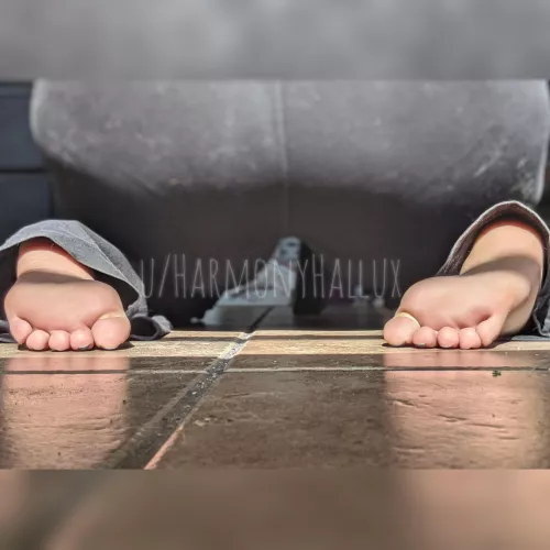 Soles So Soft, I Bet You'd Rest Your Face On Them 🤭 by HarmonyHallux