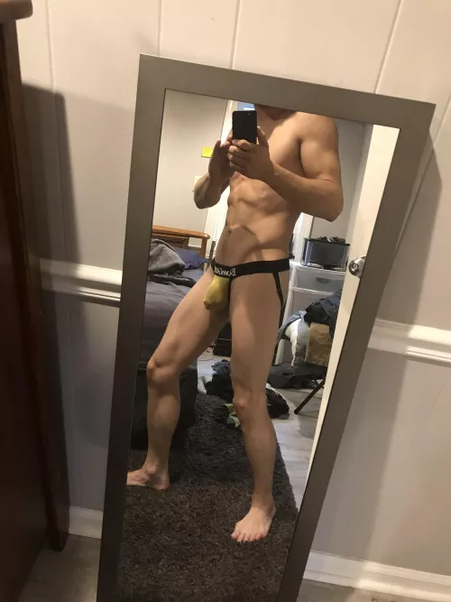 Sorry dad...I stole it. by JohnWolfPup