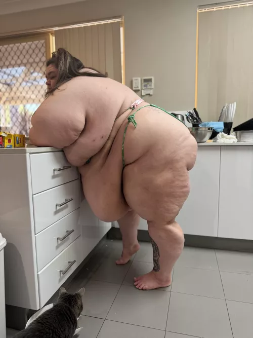 The fatter I get, the more jiggly I am by ssbbw_stella