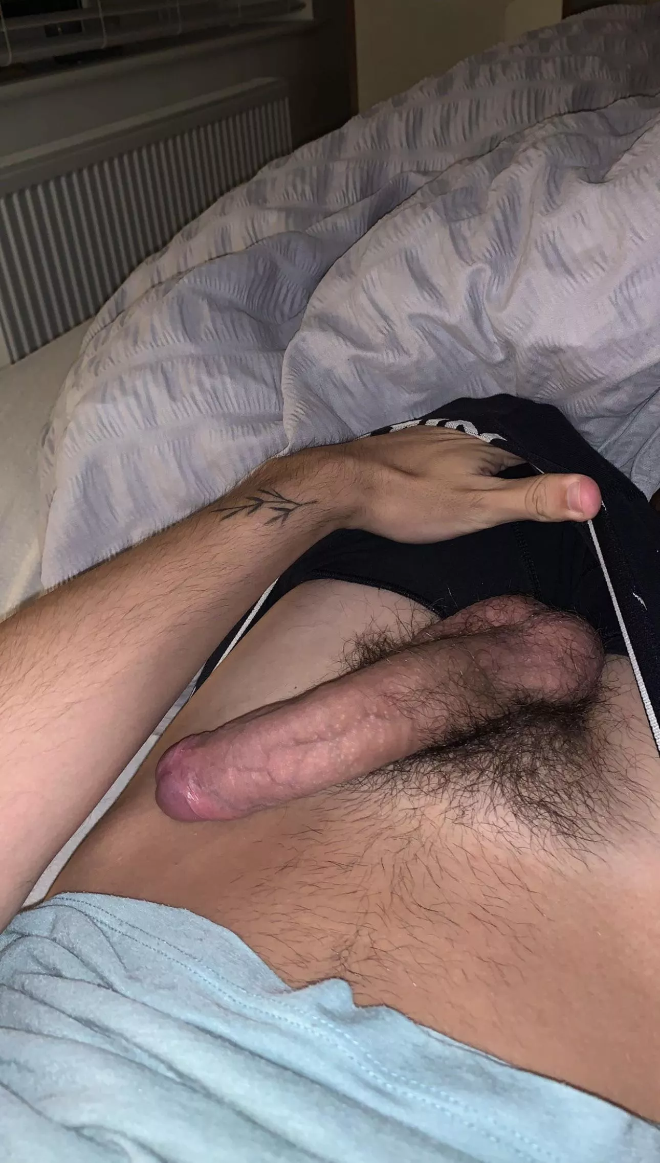 thoughts on my bush posted by josh07103