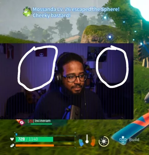 Vertical Lines on Face Cam When Mini, Fullscreen Face, They're Gone. Ruining Quality by GOURME7