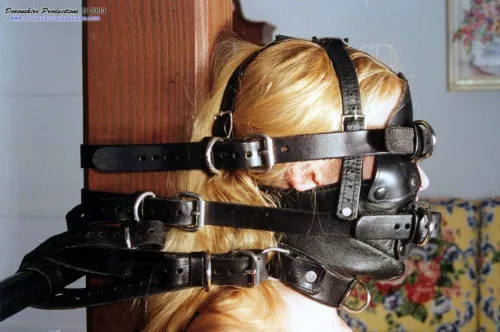 We need more leather! posted by Quiet-Mind-5106