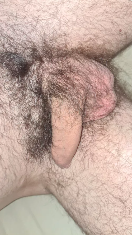 What u think ? by BeorfBromanson