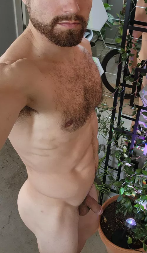 Who wants to get me hard? by Geilerhengst_123