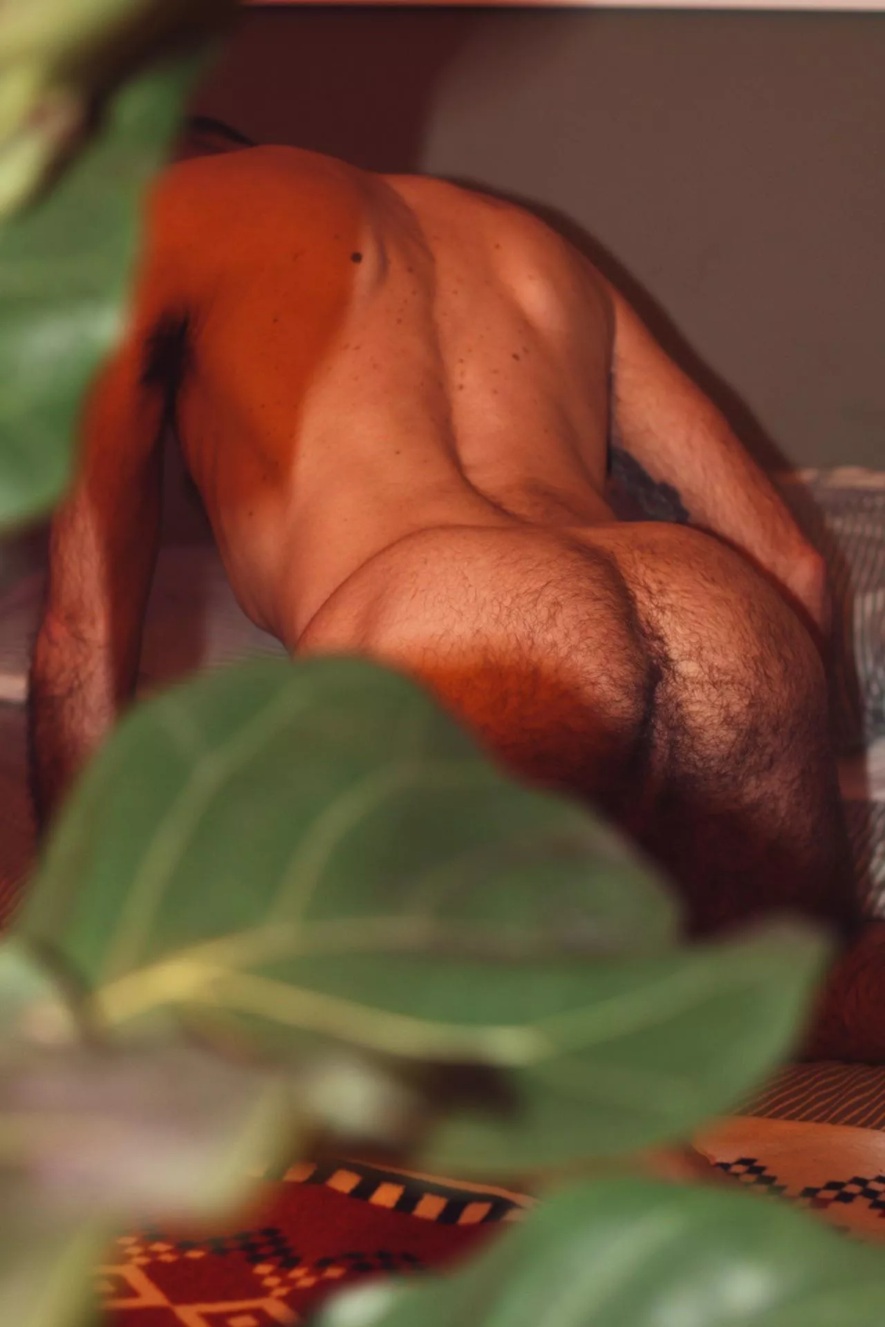 Who wants to seed me? posted by Ripley_no8