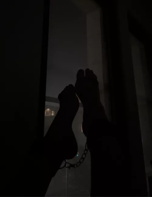 Would you like to see them in the light?😏 by Flower_girl121