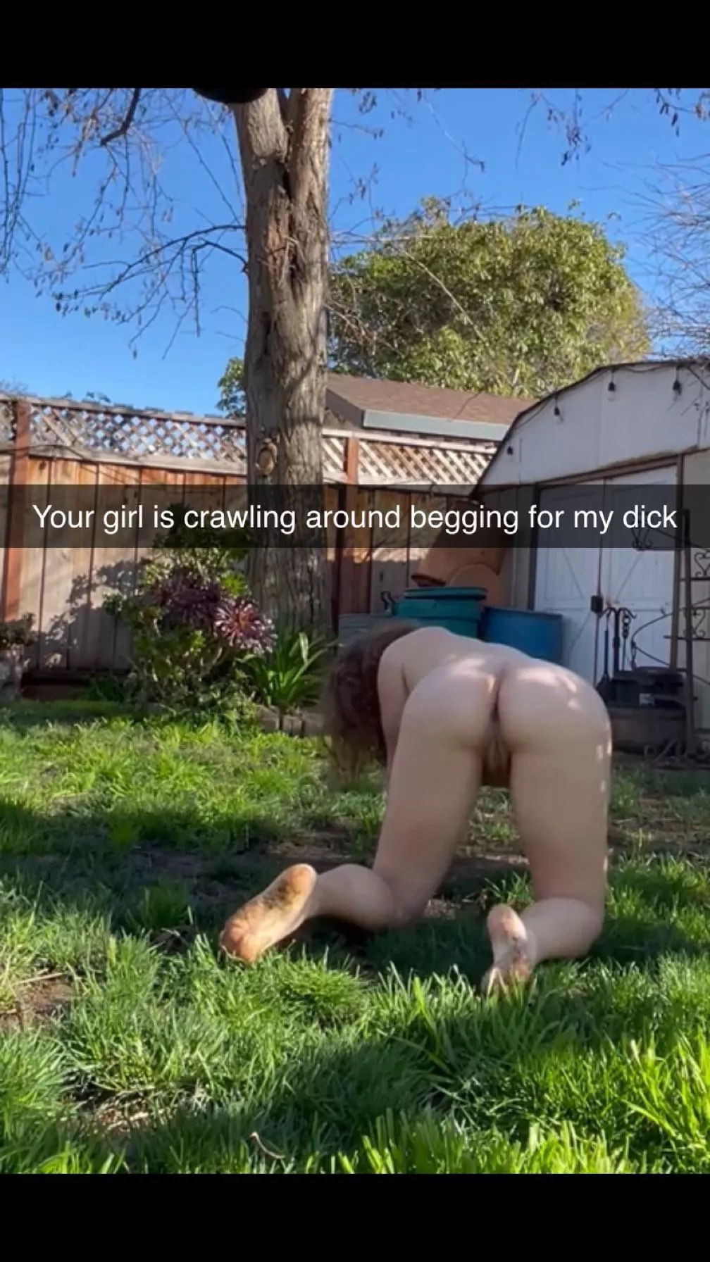 Your girlfriend is his pet now posted by Adept_Economics7792