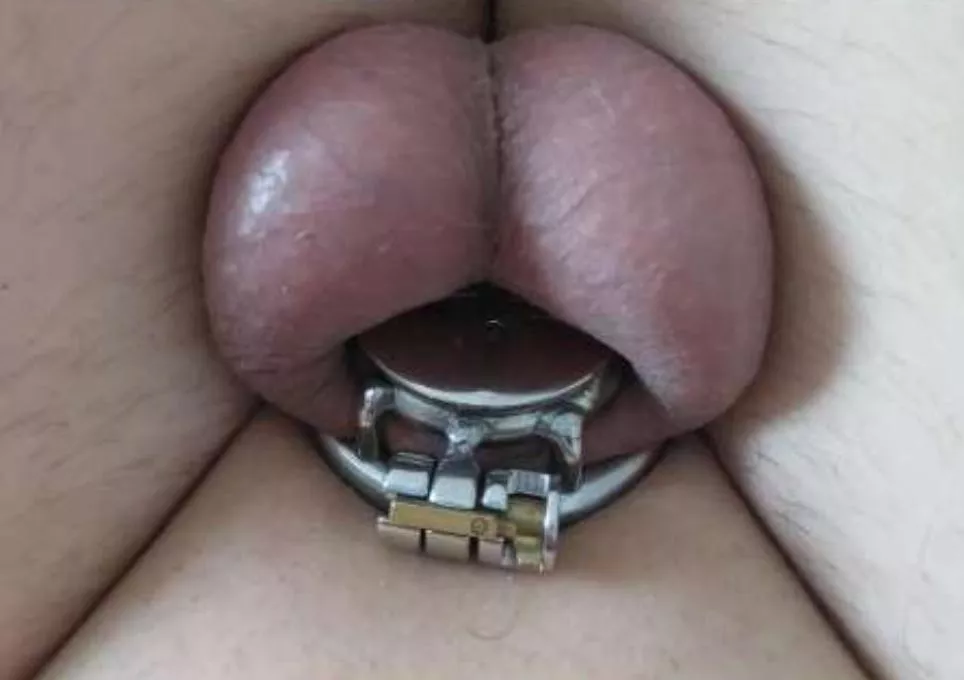 20m in chastity posted by kazik222