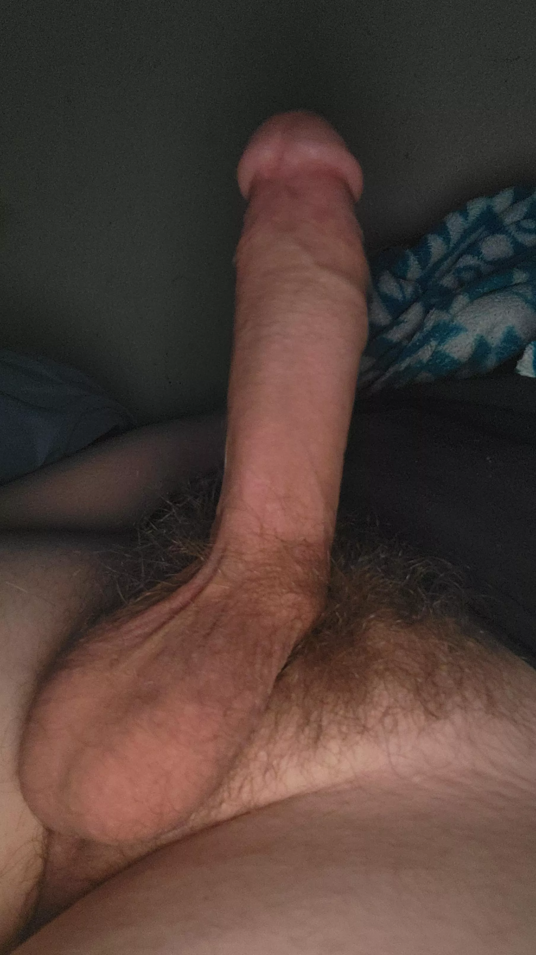 8 inches of hard cock posted by Strong-Condition8456