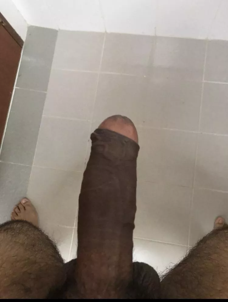 Anyone wants a bull in Singapore? posted by LatterPhilosopher601