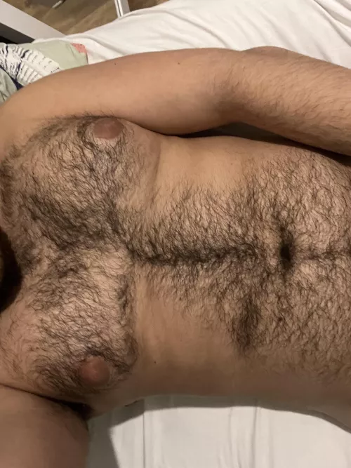 Arab extreme hairy chest by Former_Judge6015