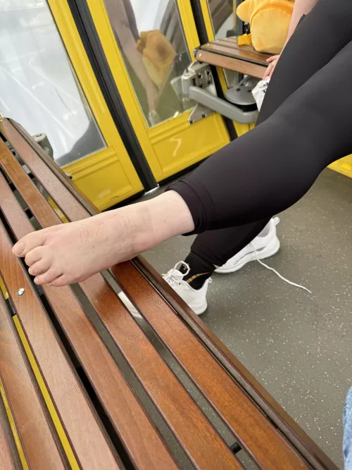 At the parks OC by willowsprings69