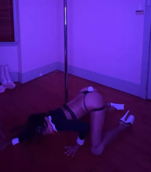 Bad bunny getting into position ☺️🙈 by bella_fe