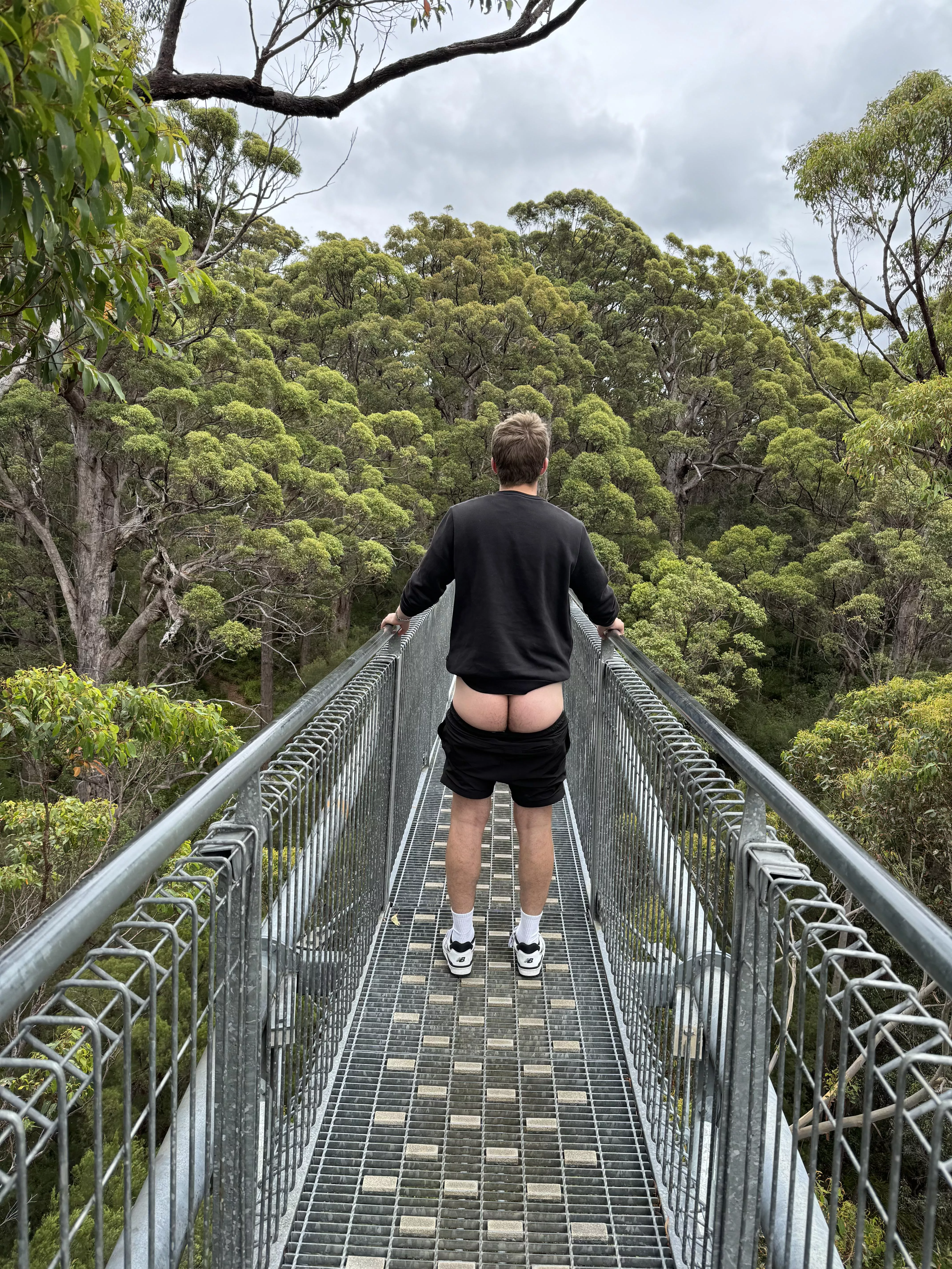 Being cheeky on the tree top 😜 posted by sexyausboy